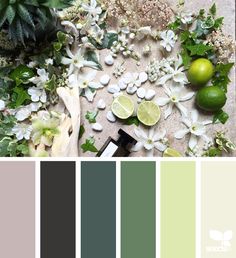 green and white color palette with limes, lemons, and other greenery