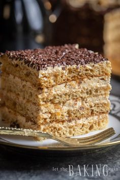 a piece of cake on a plate with a fork