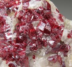 Cinnabar on matrix - San Bartolo Mine, Charcas, Mexico San Bartolo, Opal Australia, An Aesthetic, Boulder Opal, Crystals Minerals, Minerals Crystals, All Photos, Matrix, Animals Wild