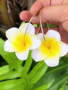 Plumeria Flower Hoops Fun Hawaiian Pink plumeria flowers on 14k gold fill endless hoops. Hoops approx. 50mm. Shop~ http://www.etsy.com/shop/HanaMauiCreations?ref=pr_shop_more International buyers please read our shipping policies before ordering~ POLICIES~ https://www.etsy.com/shop/HanaMauiCreations/policy?ref=shopinfo_policies_leftnav Summer Flower Charm Hoop Earrings, Flower Shaped Hoop Earrings For Summer Gifts, Flower Shaped Hoop Earrings For Summer, Summer Gold Hoop Flower Earrings, Gold Hoop Flower Earrings For Summer, Gold Flower Earrings For Beach, Gold Flower-shaped Earrings For Beach, Adjustable Flower-shaped Earrings For Vacation, Hawaii Beach Party