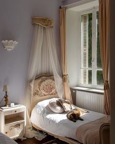 a cat laying on top of a bed in a room with purple walls and curtains