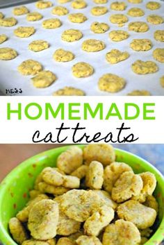 homemade cat treats in a green bowl on top of a table with the words homemade cat treats