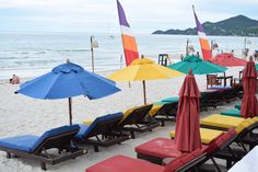 beach chairs and umbrellas are lined up on the beach