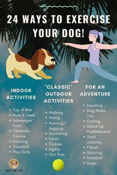 a poster with instructions on how to exercise for your dog, including tennis balls and other activities