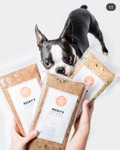 a small dog standing next to three packages of food in its owner's hands