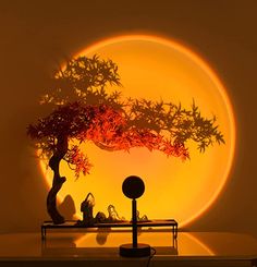 a bonsai tree is shown in front of a yellow background with the sun behind it