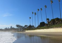 the beach is lined with palm trees on a sunny day