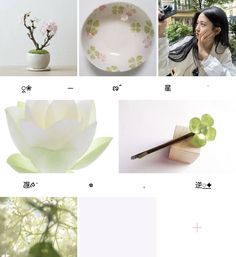 there are many different pictures with flowers and plates on the same page, but one is not in color