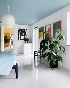 a bedroom with blue and white walls, large potted plant on the side of the bed