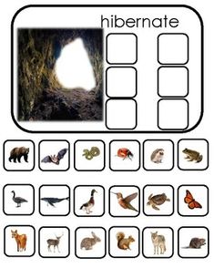 an animal habitat worksheet with pictures and words