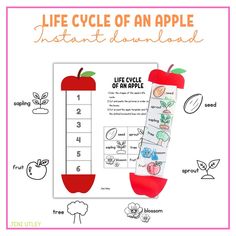 the life cycle of an apple with instructions