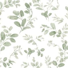 a white and green wallpaper with leaves on the back drop in shades of grey