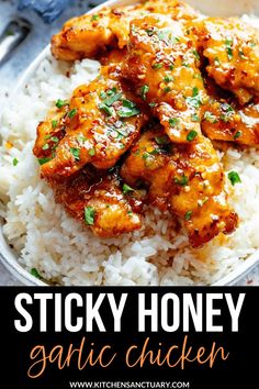 a plate full of sticky honey garlic chicken with rice and garnish on the side