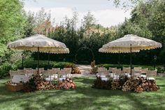 there are two umbrellas and chairs in the grass