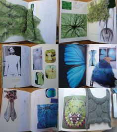 an open book with drawings and pictures on the pages, including blue butterflies in green leaves