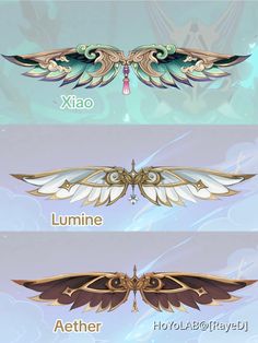 four different types of wings in the sky