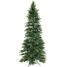 a tall green christmas tree on a white background