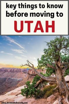 a tree on top of a mountain with the words utah in red and white above it