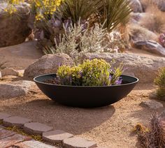 a bowl shaped planter sitting on top of a dirt ground next to rocks and plants