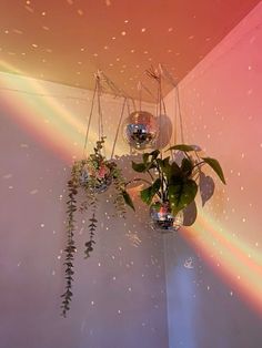 three disco balls hanging from the ceiling with plants in them and rainbow light coming through