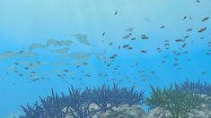 an underwater scene with many fish and corals