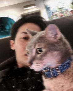 a man sitting in a car with a cat on his lap looking at the camera