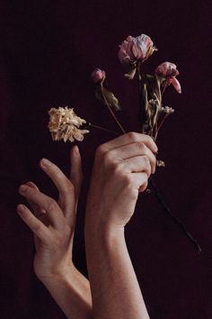 a person holding flowers in their hands on a dark background with space for text or image