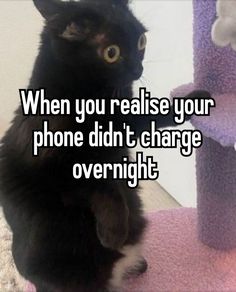 a black cat sitting on top of a scratching post with the caption when you re raise your phone didn't charge overnight