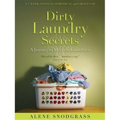 dirty laundry secrets a journey to the laundforce by alene snodgrass