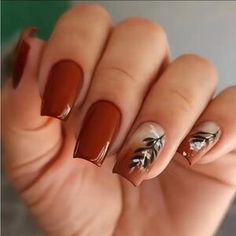 Makeup | Set Of 24 Caramel Leaf Gold Foil Press On Nails Medium Square Glossy Reusable | Poshmark Fall Press On Nails, Brown Acrylic Nails, Foil Nail Art, Press On Nails Medium, Colored Acrylic Nails, Nails Medium, Nails For Women, Nail Forms, Girls Nails