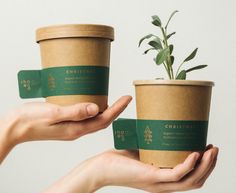 two people holding up coffee cups with plants in the top one is green and the other is brown