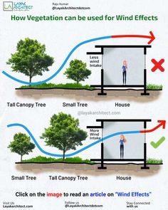 use of vegetation to enhance to beauty of design Natural Ventilation House, Eco Architecture Sustainable Living, Natural Ventilation Architecture, Design Considerations Architecture, Vegetation Architecture, Wind Analysis, Sustainable Design Architecture, House Ventilation System, Wind Effect