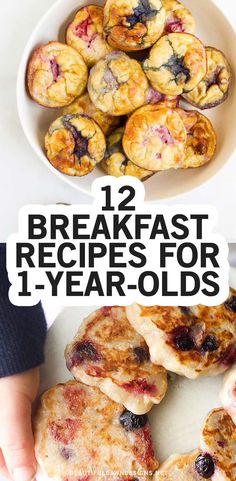 Healthy Recipes For One Year Old, Snacks One Year Old, Breakfast Ideas For 15 Month Old, One Year Old Food Recipes, Easy Breakfast For One Year Old, 16 Month Old Breakfast Ideas, Breakfast Ideas For 18month Old, 2 Year Breakfast Ideas, Breakfast For 15 Month Old