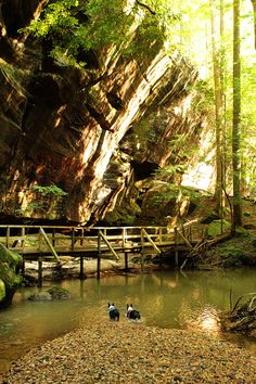 two people are sitting on the rocks in front of a small creek and wooden bridge