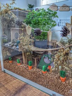 a glass case filled with plants on top of a wooden floor