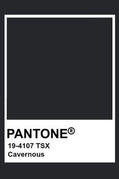 pantone's black and white color scheme with the words, cayenous