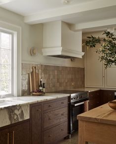 a kitchen with marble counter tops and wooden cabinets, along with a large potted plant