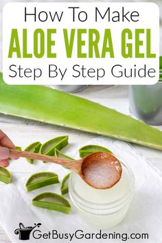 You can quickly and easily make your own aloe vera gel to have on hand for minor scrapes or sunburn! Follow this article to learn everything you need to know about how to make aloe vera gel straight from the leaves of your plant, what tools you need, tips for how to store it, and more. It only takes a few minutes, and keeps fresh for a couple of weeks in your fridge, or freeze it for longer. If you’ve always been curious about how to make aloe vera gel, this step by step tutorial is for you. How To Store Aloe Vera Leaves, How To Make Aloe Gel From Plant, How To Store Fresh Aloe Vera Gel, Preserving Aloe Vera Gel, How To Harvest Aloe Vera, What To Do With Aloe Leaves, Aloe Vera Gel For Skin Care, Harvesting Aloe, Diy Aloe Vera Gel