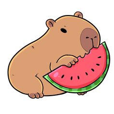 a brown bear eating a piece of watermelon