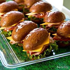 several sandwiches with cheese and meat on them in a plastic tray sitting on green grass