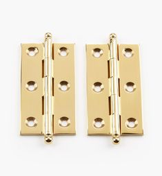 pair of brass plated hinges on white background