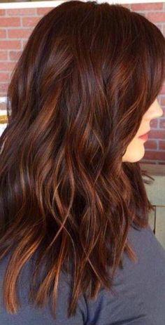 Debs Hair, Hot Head, Hair Color Chocolate, Red Brown Hair, Hair Aesthetic