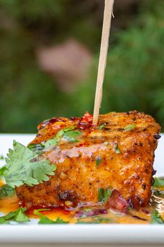 a white plate topped with meat covered in sauce and garnished with cilantro