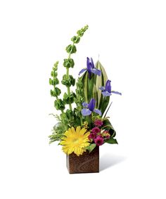 an arrangement of flowers in a square vase on a white background with green stems and purple irises