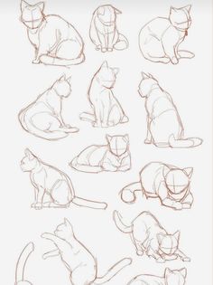 a bunch of cats that are sitting in different positions on a white surface and one is drawn