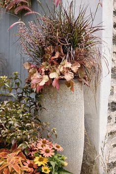 some plants that are growing out of a big pot