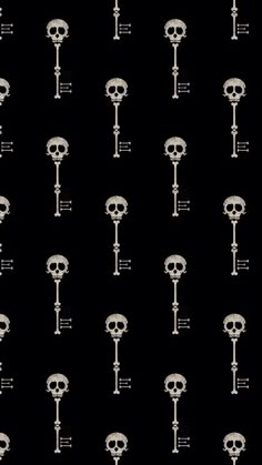 skeleton keys are arranged in rows on a black background