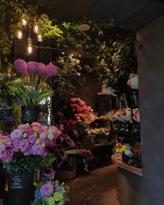 a flower shop filled with lots of different types of flowers and plants hanging from the ceiling