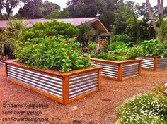 several wooden planters with plants growing in them