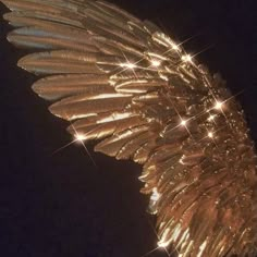 a large gold feather sculpture with sparkling lights on it's wings and back end